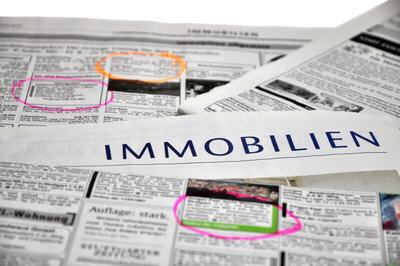 Immobilien- / Grundbesitzer